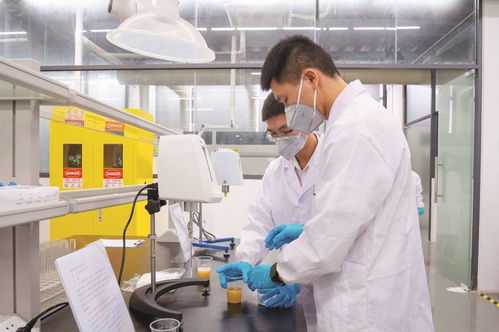 4家代表性省級重點實驗室及新型研發(fā)機(jī)構(gòu)聚力創(chuàng)新研發(fā) 賦能惠州做強(qiáng) 2 1 現(xiàn)代產(chǎn)業(yè)集群