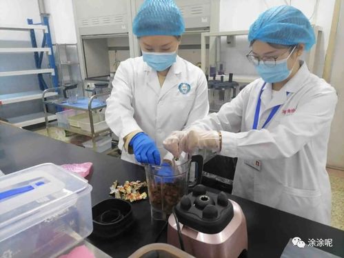 食品檢驗(yàn)員證怎么輕松速考下來難度怎么樣